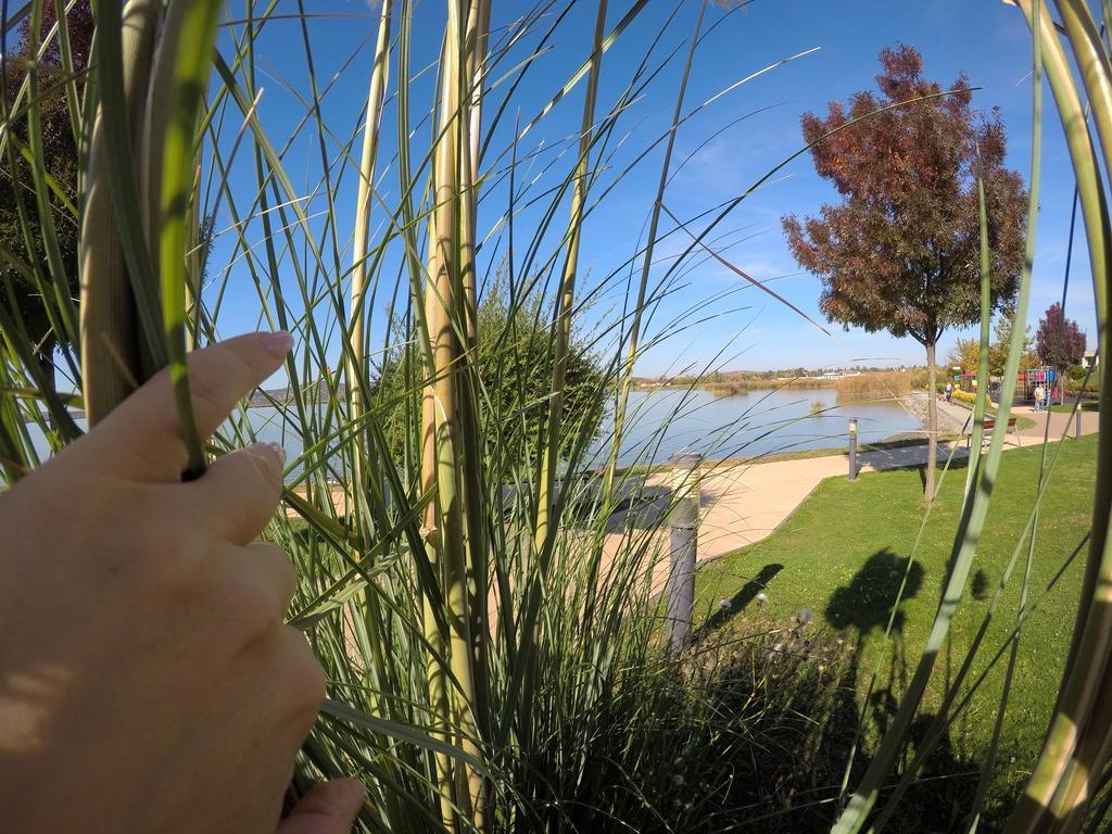 Lake And Spa Apartman Веленце Екстериор снимка